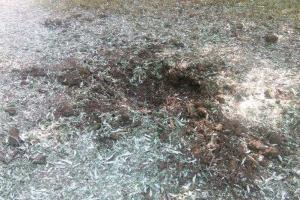 В Мелитополе во дворе частного дома прогремел взрыв
