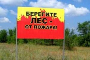 В леса под Севастополем не пускают туристов