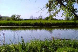 Труп женщины достали из реки в Старобельском районе 