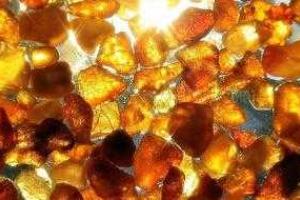 За борьбу с незаконной добычей янтаря хотели убить депутата