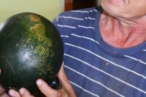 Россиянин нашел арбуз с сообщением от инопланетян