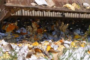 Россияне ночью идут на охоту: будут собирать уцелевшие санкционные продукты