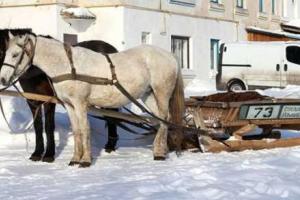 В России автобусы хотят заменить гужевыми повозками