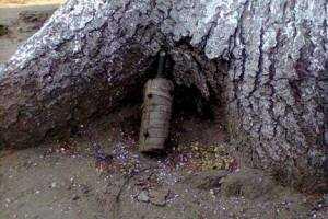 Во Львове в детском саду нашли боеприпас