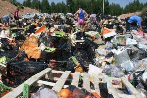 Россияне не забудут Путину уничтожение продуктов – ведущий радио «Серебряный Дождь»