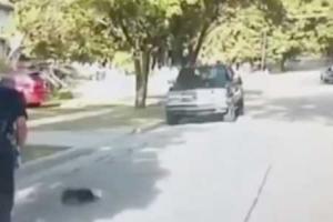 Полицейский спас скунса, но не ожидал такой "благодарности"