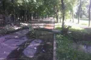 Обстрелу подвергся поселок Октябрьский Куйбышевского района Донецка. Погибла женщина