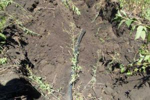 На Луганщине найден подземный трубопровод, ведущий в Воронежскую область