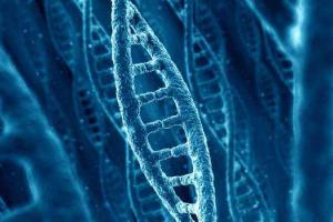 Ученые узнали, как гены влияют на политические предпочтения