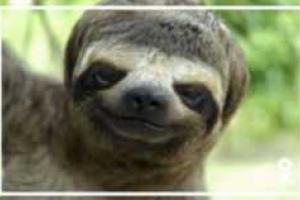 «Одноклассники» предлагают поиграть в названия