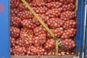 Более 11% украинских овощей и фруктов не пропустили в Крым