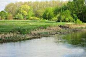 На Луганщине в реке Айдар утонул мужчина