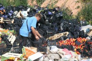 В Смоленске на свалке собирают санкционные персики на самогонку
