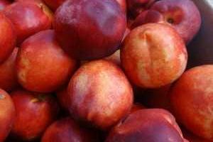 Кара небесная! В России процесс уничтожения импортных фруктов сопровождался грозой