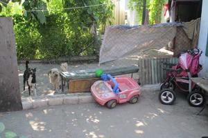 В Николаеве задушили 4-летнюю девочку
