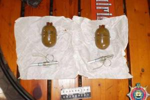 У жителя Дзержинска изъяли боевые гранаты