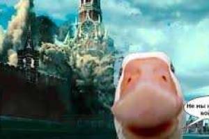 Ест ли Навка польских гусей? В сети смеются с доносов на "санкционку"