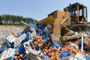 В магазине Google Play появилась новая игра для «патриотов» России