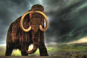 Назад в прошлое: Российские ученые решили воскресить вымерших мамонтов
