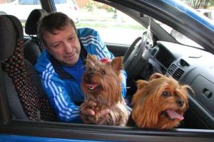 Мариупольские пенсионеры уже 11 дней плачут из-за пропажи "пушистых детей" 