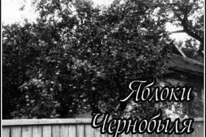 На Киевщине задержали мужчин с 52 мешками чернобыльских яблок 