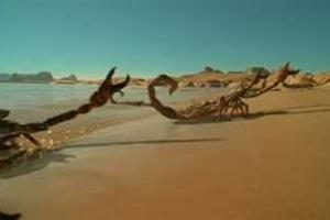 Скелет двухметрового скорпиона нашли в Америке