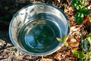 Московские подростки попали в реанимацию, после того как напились водки из тазика