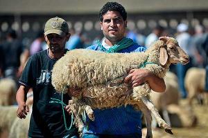 В Казахстане запретили селфи во время жертвоприношений