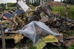 На месте крушения Боинга до сих пор находят остатки вещей пассажиров