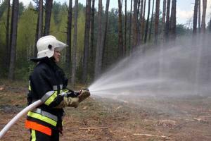 В Хмельницкой области пожар охватил около 100 га леса