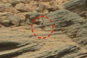 Обнаруженные на Марсе два марсианина вызвали споры в сети