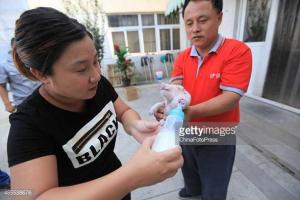 В Китае родился двухголовый поросенок