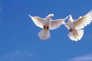 В секторе «М» начался 7-й день тишины