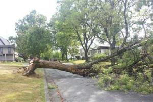 Во Франции мощный ураган оставил без электричества 70 тысяч человек