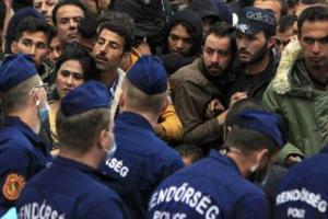 Венгерская полиция на границе с Сербией задержала более 9 тысяч мигрантов