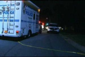 Семейный праздник в США закончился трагедией: убита 9-летняя девочка