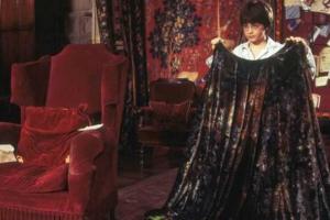 Ученые хотят создать невидимый плащ Гарри Поттера