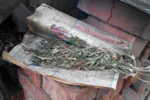 Харьковчанин хранил на даче наркотики "для своих нужд" 