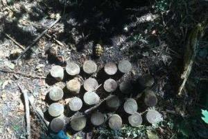 На трассе вблизи Краматорска обнаружен тайник с семью килограммами гашиша