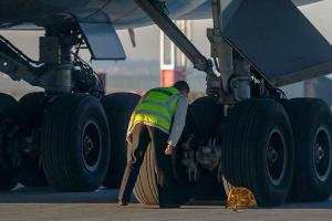 Тело человека застряло в шасси самолета Африка - Нидерланды