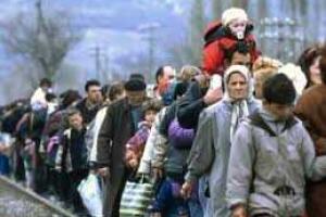 На зарегистрированных переселенцах могут зарабатывать контрабандисты