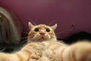 Лондонские банки обяжут клиентов делать селфи