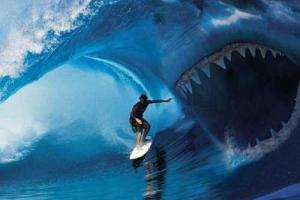 На японского серфингиста напала трехметровая акула
