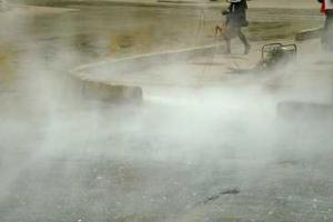 В зоомагазине Санкт-Петербурга все животные погибли страшной смертью