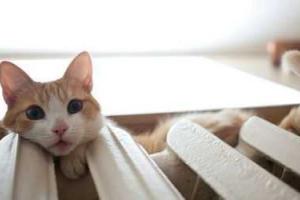 В Киеве начинают включать отопление 