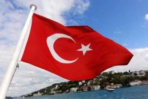 Семь государств выразили озабоченность российскими бомбардировками в Сирии