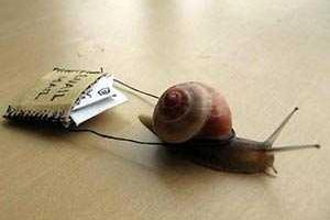 Почту России оштрафовали за медленную доставку письма самой себе