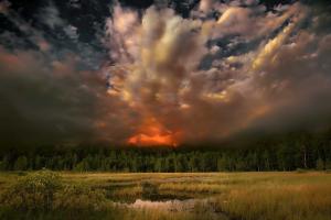 В Таиланде для борьбы с удушающим смогом подняли авиацию. Видео