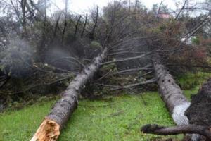 На Сахалин обрушился ураган, введен режим ЧС