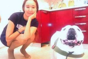 Собачьи страсти: звезду «Дома-2» жестоко избили 